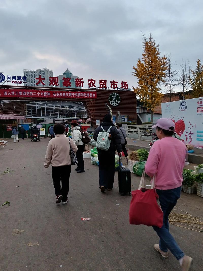 昆明商贸行业风云：熙敏商贸有限公司引领潮流
